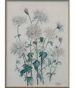 [������� ��� ���������� �����������]